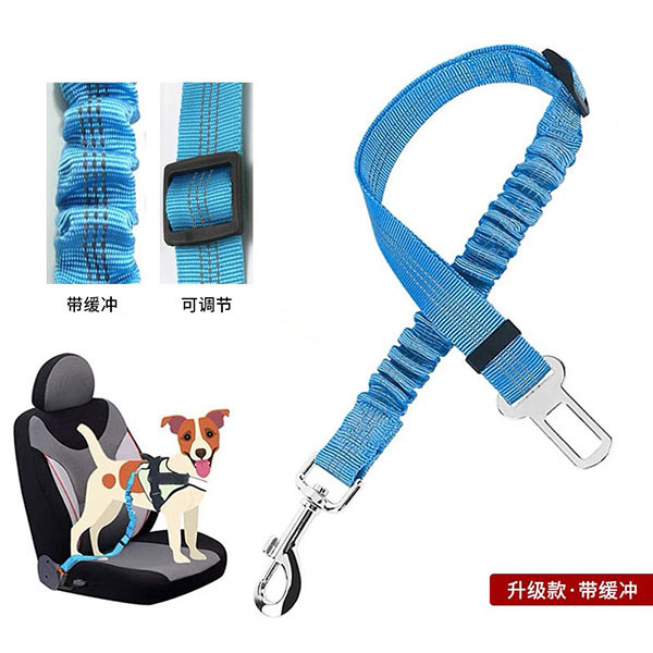 宠物安全带